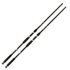 Combo de pêche Top Carp Full 2 Lineaeffe 2015362
