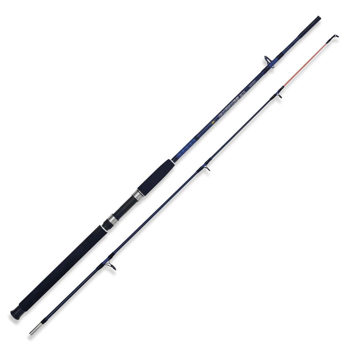 Canne Caspian Pro 250g 1,50m Lineaeffe 2240315