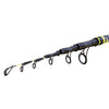 Canne Beach Queen 100g 4,20m Lineaeffe 2248542