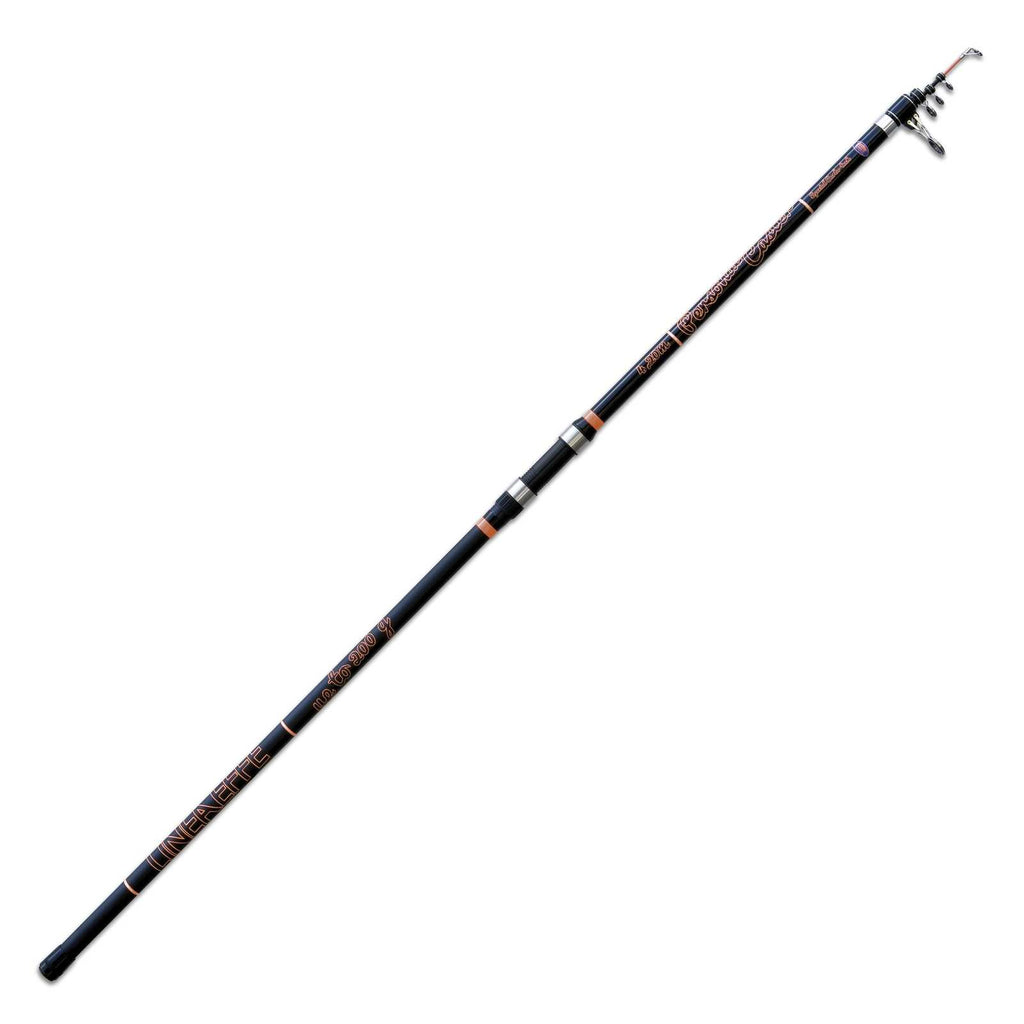 Canne Personal Caster Wtg 200g 4,20m Lineaeffe 2270142
