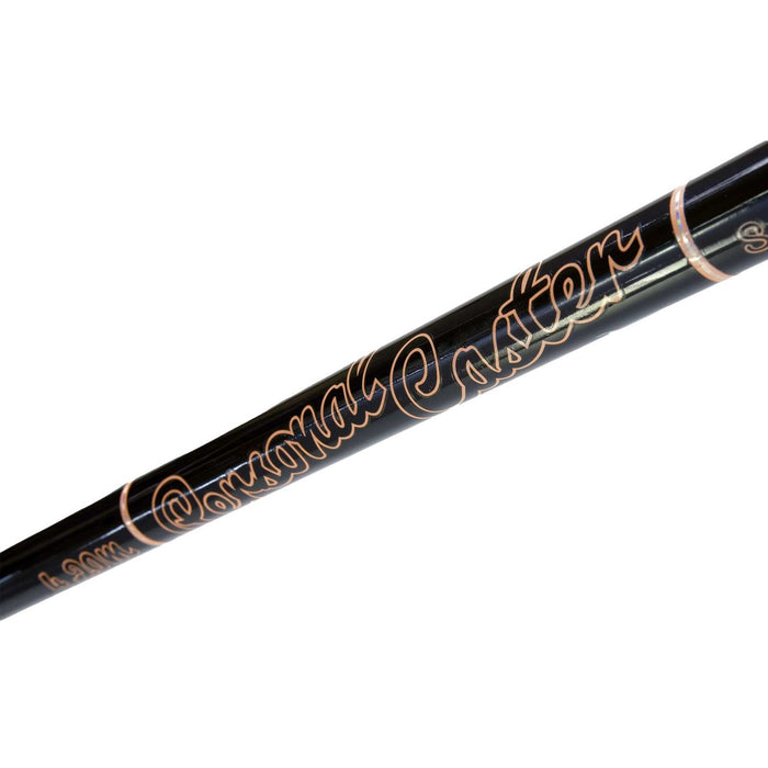Canne Personal Caster Wtg 200g 4,20m Lineaeffe 2270142