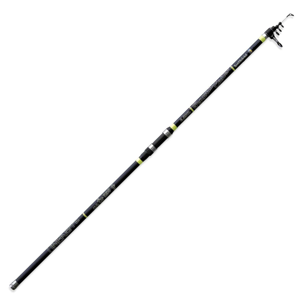 Canne Personal Caster Wtg 250g 4,20m Lineaeffe 2270342