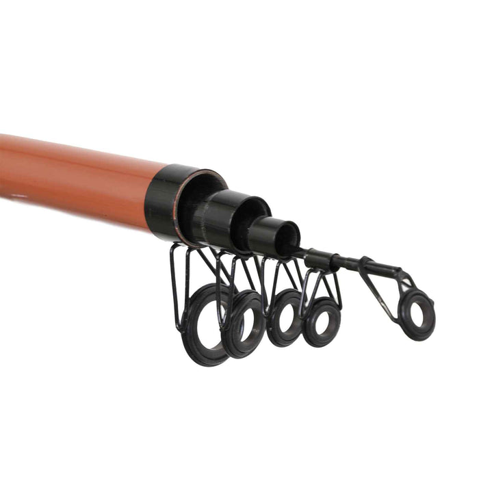 Canne Planet Advanced 4,20m Lineaeffe 2278242