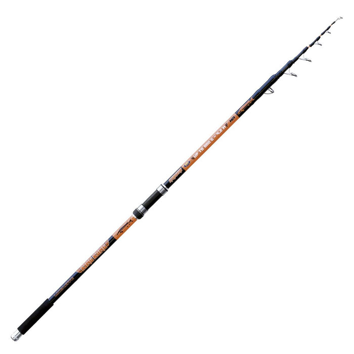 Canne King Kong Esturgeon 500g 4,20m Lineaeffe 2282642