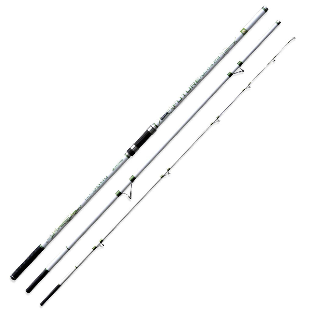 Canne Future Hybride 300g 4,20m Fishing Ferrari 2289842