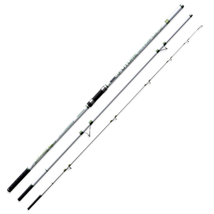 Canne Future Hybride 300g 4,20m Fishing Ferrari 2289842