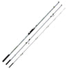 Canne Future Hybride 300g 4,20m Fishing Ferrari 2289842