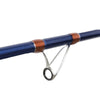 Canne Waikiki 150-280g 4,20m Pêche Ferrari 2291942