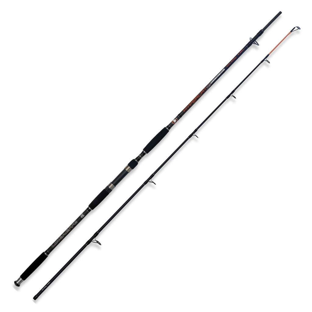 Canne Hypercat 300-500g 2,55m Lineaeffe 2312025