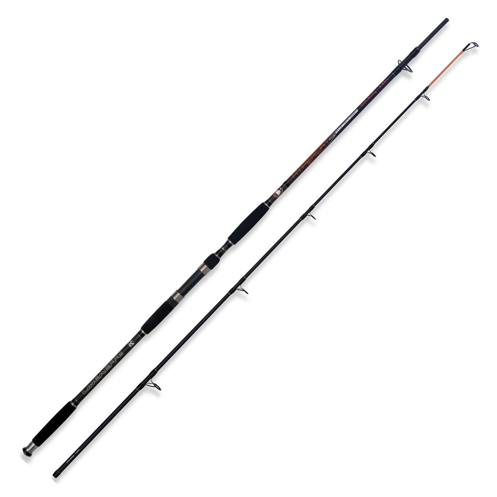 Canne Hypercat 300-500g 2,85m Lineaeffe 2312028