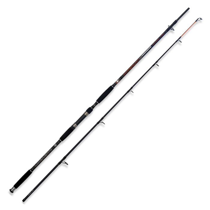 Canne Hypercat 300-500g 3,15m Lineaeffe 2312031