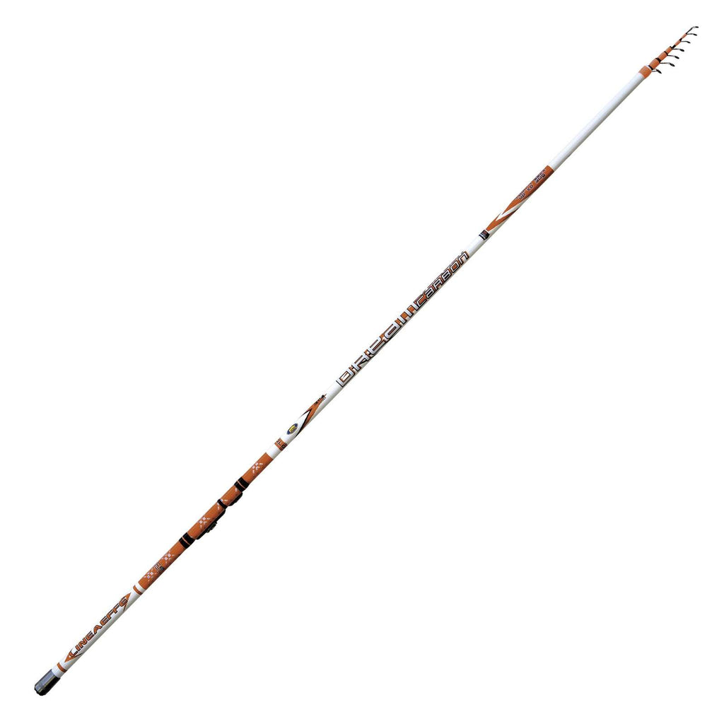 Canne Dream Carbon Evolution Bolo 7m Lineaeffe 2516807