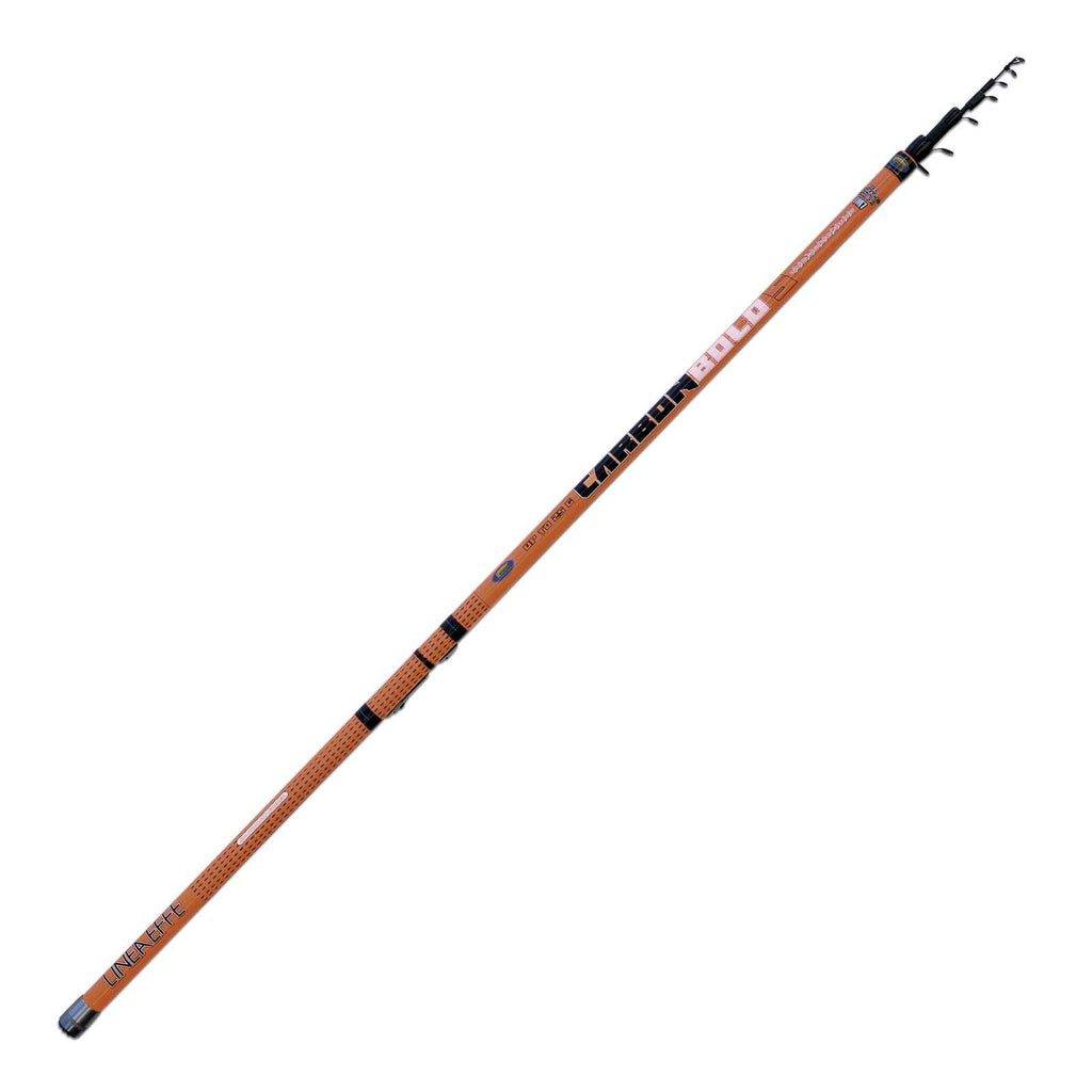 Canne Carbon Bolo 5m Lineaeffe 2518315