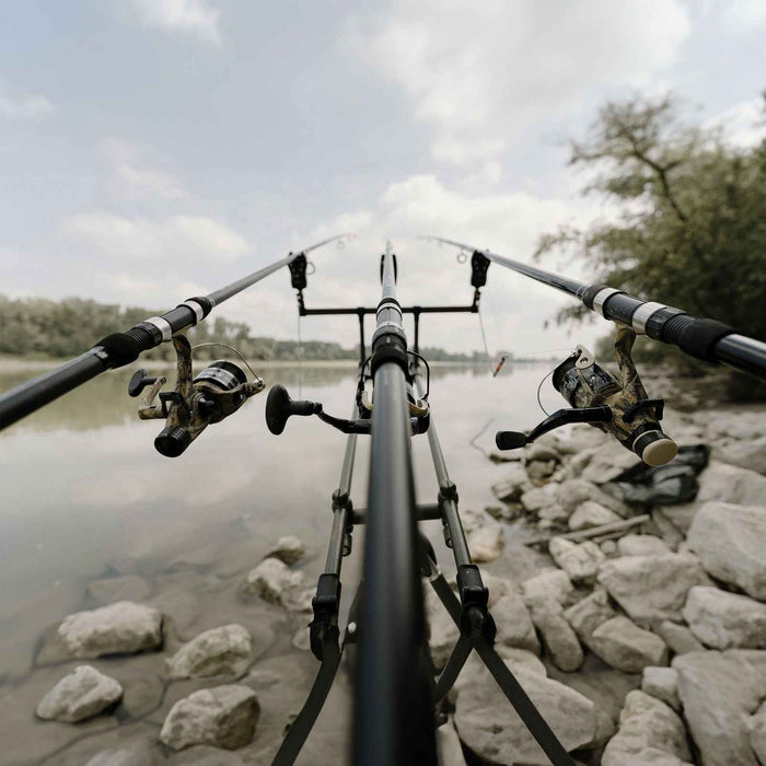 Canne Carp Seeker 3,90m Lineaeffe 2741939