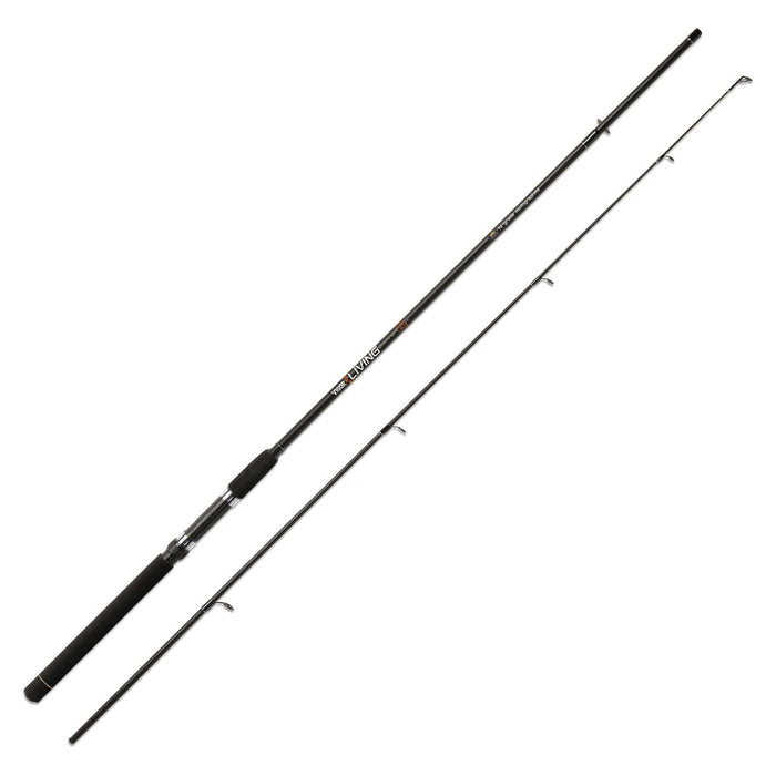 Canne Vigor Living 60g 2,55m Lineaeffe 2826125
