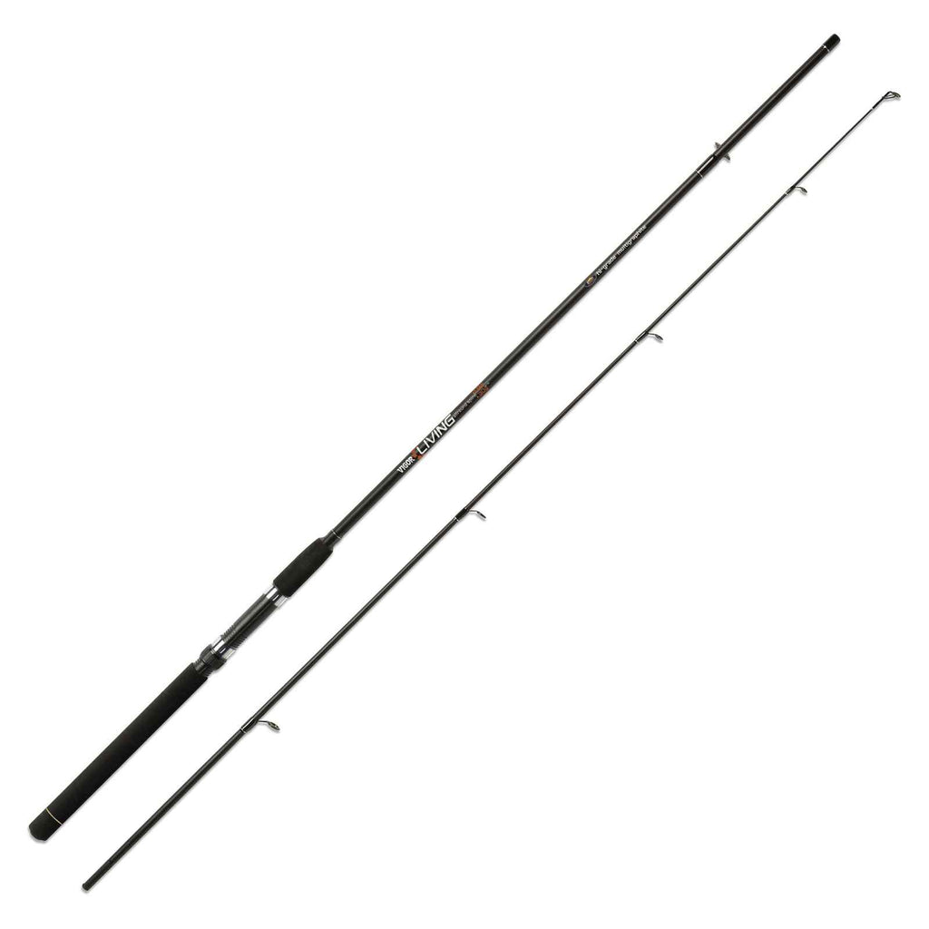 Canne Vigor Living 60g 3,00m Lineaeffe 2826128