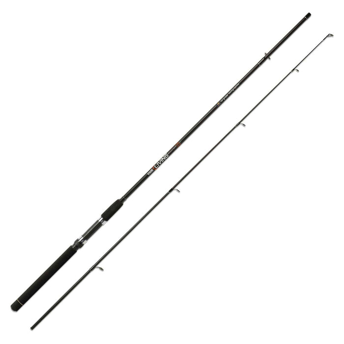 Canne Vigor Living 60g 3,00m Lineaeffe 2826128