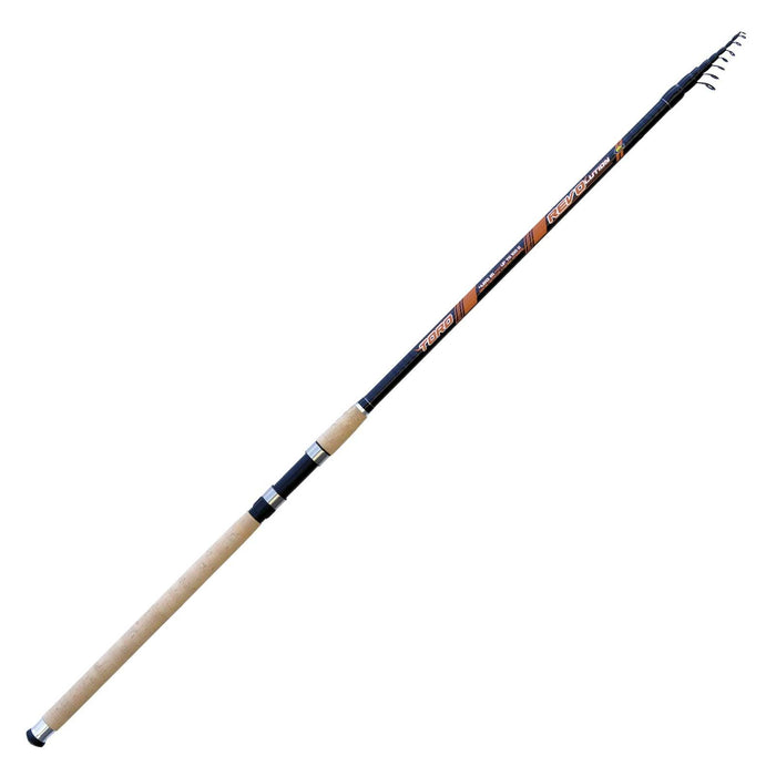 Canne Toro Revolution 100g 4,20m Lineaeffe 2866710