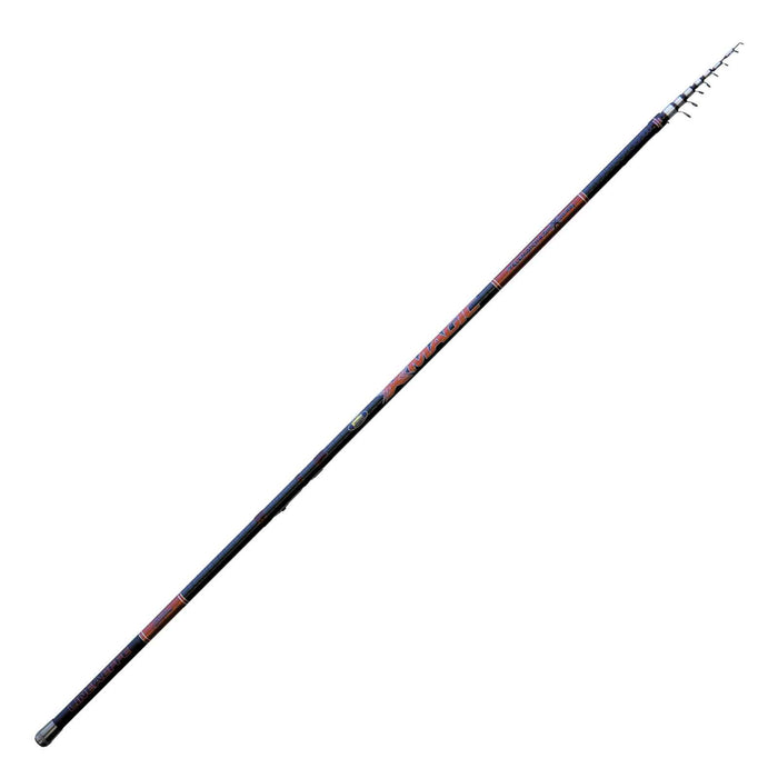 Canne X Magic Telematch 20-80g 4m Lineaeffe 2868440