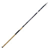 Canne Lancer 80g 4,20m Lineaeffe 2868542
