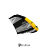 Aile de foil Wing Evolution Or Noir Taille 3.5 RRD 29EVOLUGOL_07_3_5