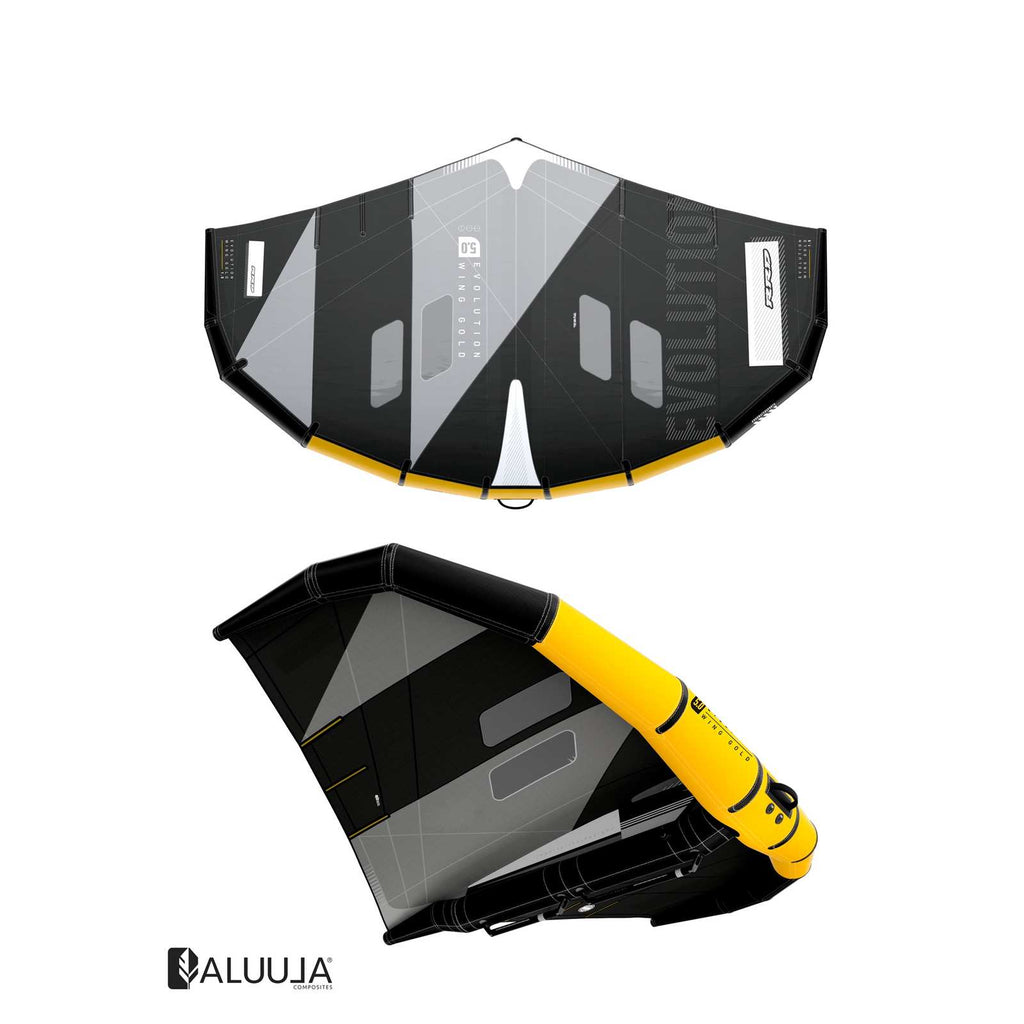 Aile de foil Wing Evolution Or Noir Taille 5.0 RRD 29EVOLUGOL_07_5_0