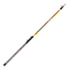 Canne télescopique Panther Bolognese 4m Expert Predator 31010