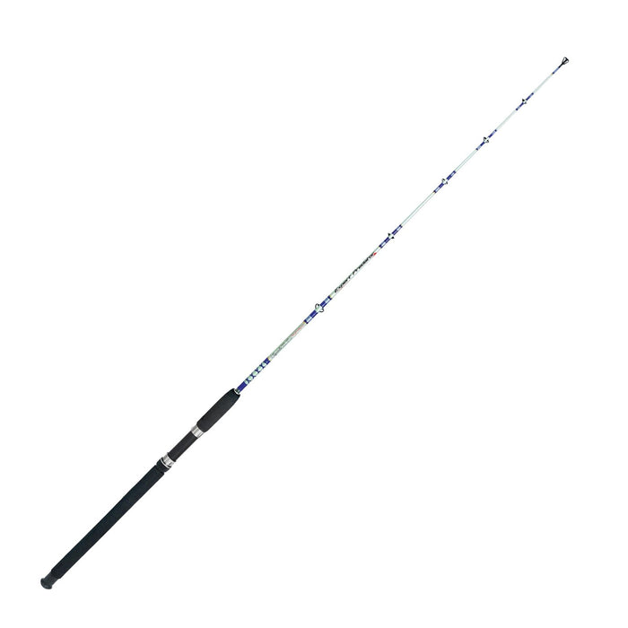Canne à pêche de bateau en eau salée Bolentino 1,5m Expert Predator 31530