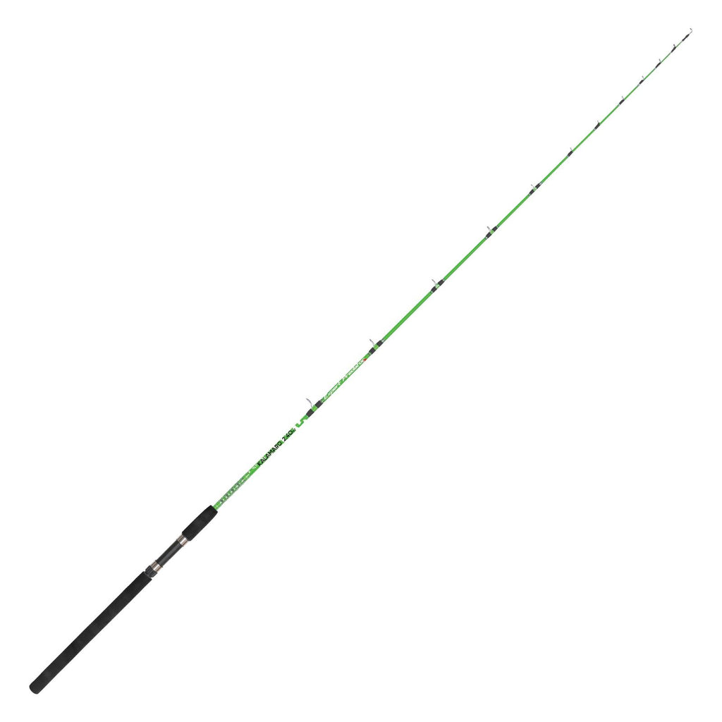 Canne à pêche Spinning Kalamaro 50-100g 1,6m Expert Predator 31547
