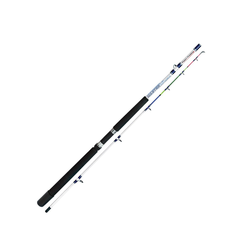 Canne à pêche de bateau en eau salée Master 100-180g 2,1m Expert Predator 31552