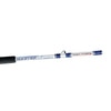 Canne à pêche de bateau en eau salée Master 100-180g 2,1m Expert Predator 31552