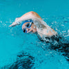 Lunettes de natation Predator Bleu-Blanc Verres teintés-Fumés Petit Zoggs 461037BLWHTSMS