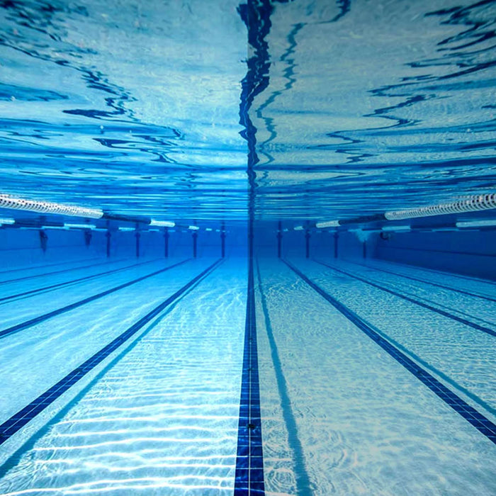 Lunettes de natation Predator Vert-Transparent Verres teintés-Fumés Petit Zoggs 461037GNCLTSMS