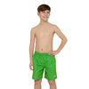Shorts de bain Penrith 15'' Garçon Vert Taille M Zoggs 463475GNM