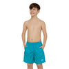 Shorts de bain Penrith 15'' Garçon Turquoise Taille S Zoggs 463475TQS