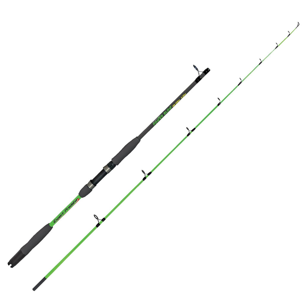 Canne à pêche Spinning Power Blow 3m Expert Predator 48180