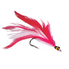 Plume Hameçon Blanche-Rouge Lineaeffe 5051220