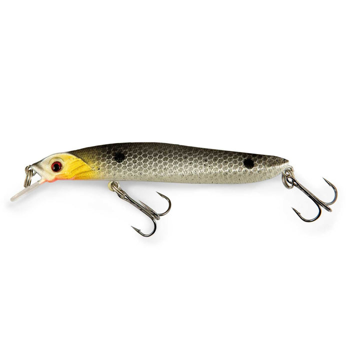 Minnow Total Flottant Argent Pois Noirs 8g 10cm Lineaeffe 5381100