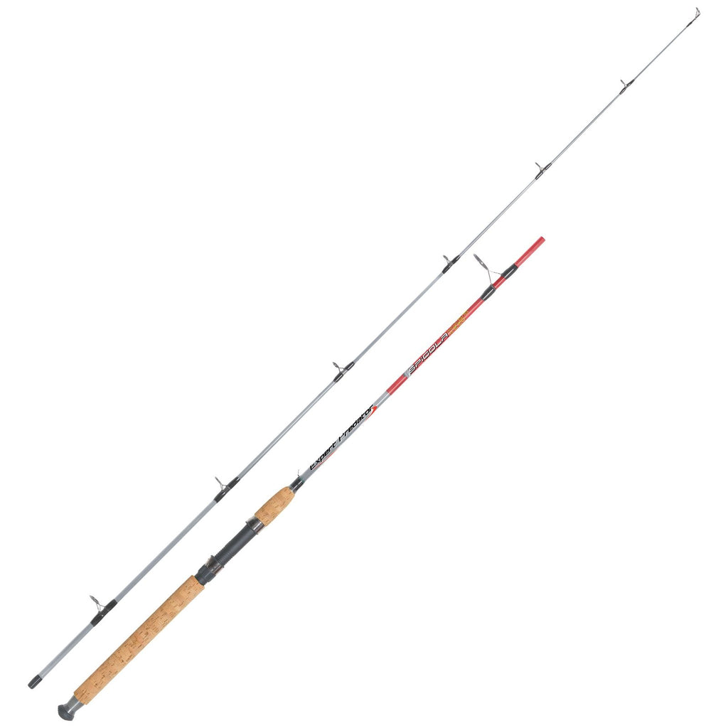 Canne à pêche Spinning Spigola 5-15g 2,2m Expert Predator 67024