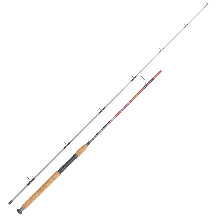 Canne à pêche Spinning Spigola 5-15g 2,2m Expert Predator 67024
