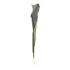 Palmes de snorkelling F2 Jaune 40-41 Abysstar 69486YL