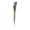Palmes de snorkelling F2 Jaune 42-43 Abysstar 69487YL