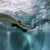 Pullbuoy de natation Ailes de nage Jaunes Seabike 8533729