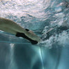 Pullbuoy pour natation Ailes de natation Junior Vert Seabike 8540413