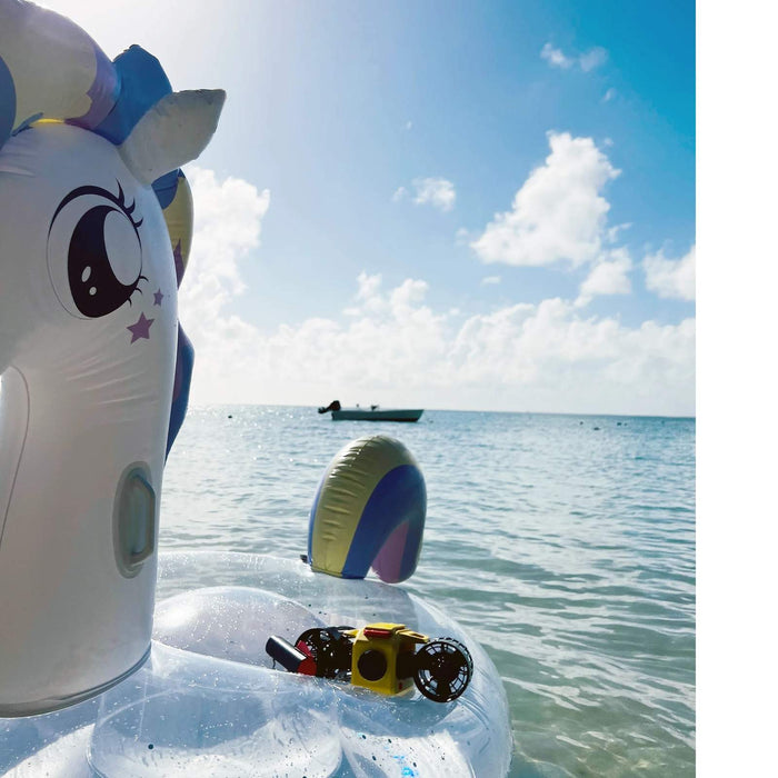 Bouée licorne avec télécommande pour scooter sous-marin C1 Lefeet C030012
