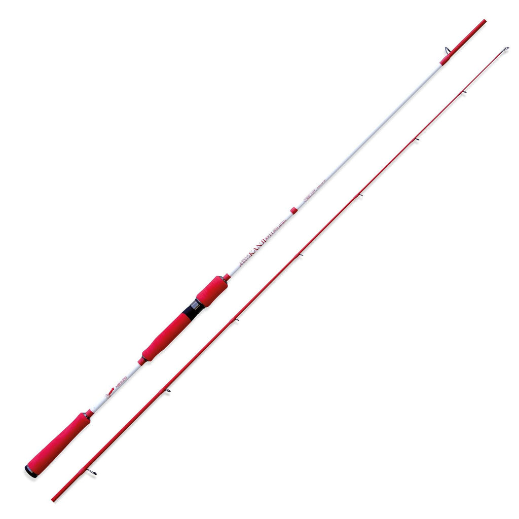 Canne Kanji Eging 10-15g 2,40m Nomura NM23111524