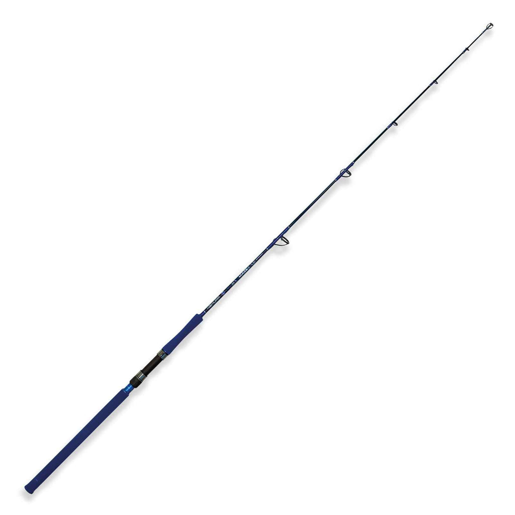 Canne Maze Spinning 600g 1,75m Nomura NM28160018