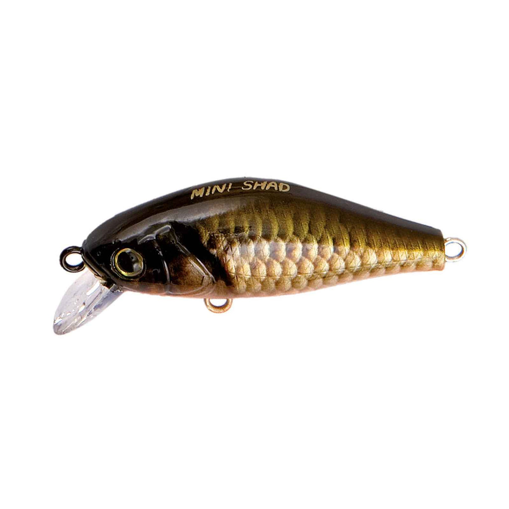 Cuillère Izumi Real Carp 45mm 4,3g Nomura NM47051604