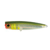 Appât Kaito Natural Green 10cm 24g Nomura NM57908510