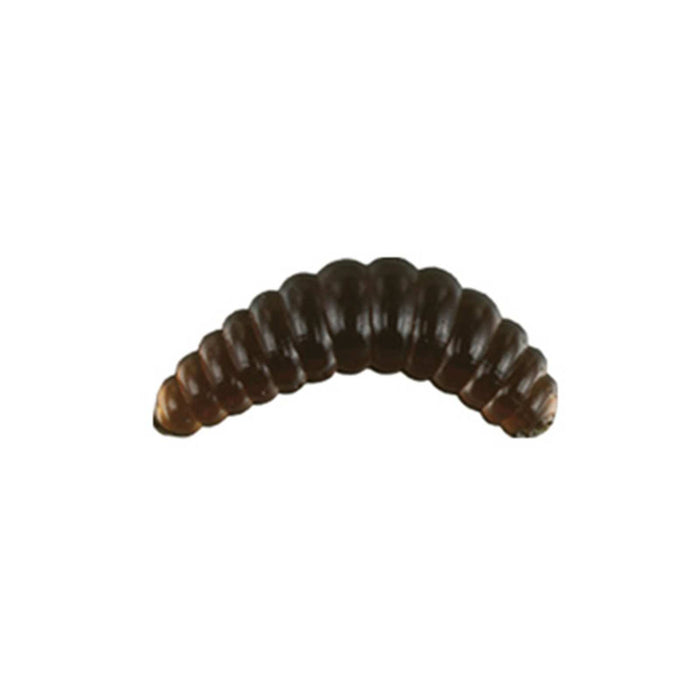 Appât vers de miel asticot vers de nuit 2cm 0,35g Nomura NM78005302